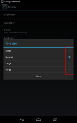 Nexus 7 Font Size Options
